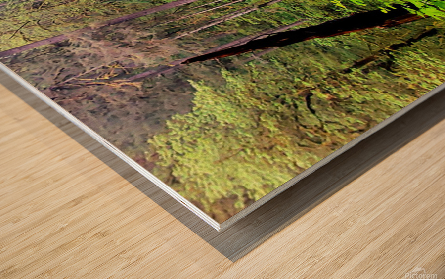 Middle North Falls Wood print