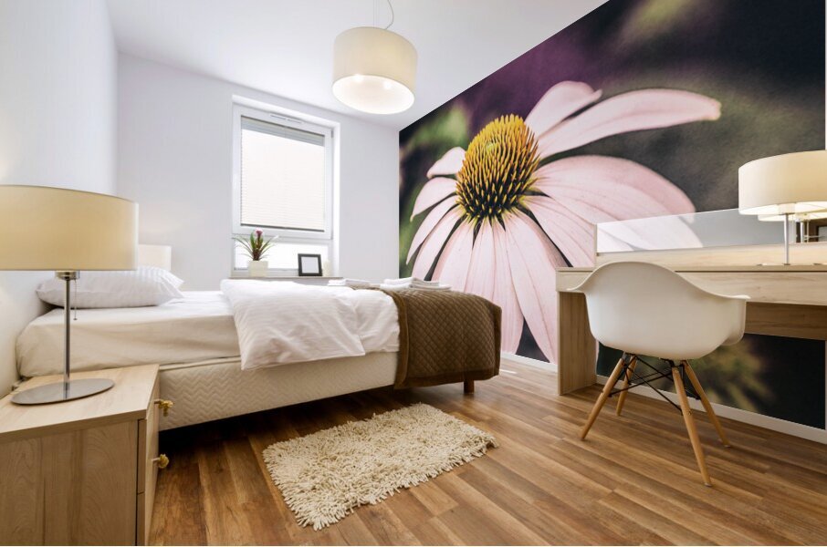 Coneflower Mural print