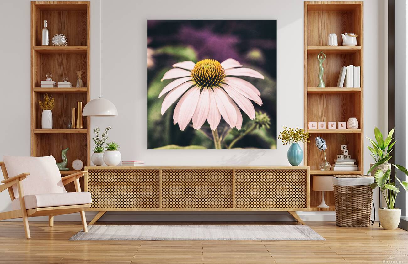 Coneflower Reproduction