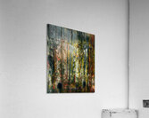 The Vertical Scar Acrylic Print