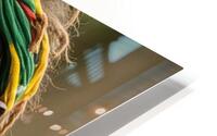 Rasta Monkey HD Metal print