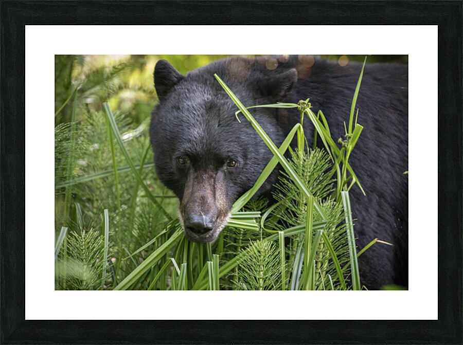 Emma Menchions Picture Frame print