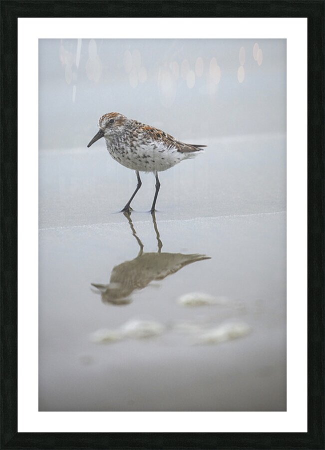 Emma Menchions Picture Frame print