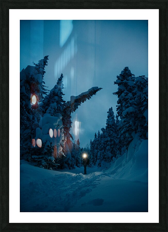 Beatrice Vu Picture Frame print