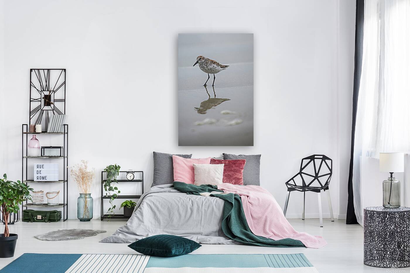 Emma Menchions Reproduction