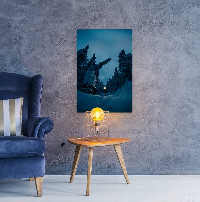 Beatrice Vu Reproduction