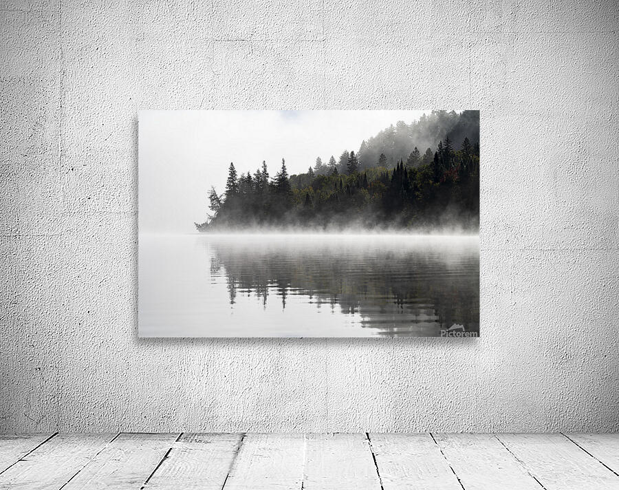 Mark Bernards Wall Preview