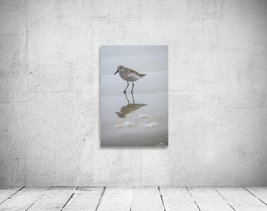 Emma Menchions Wall Preview