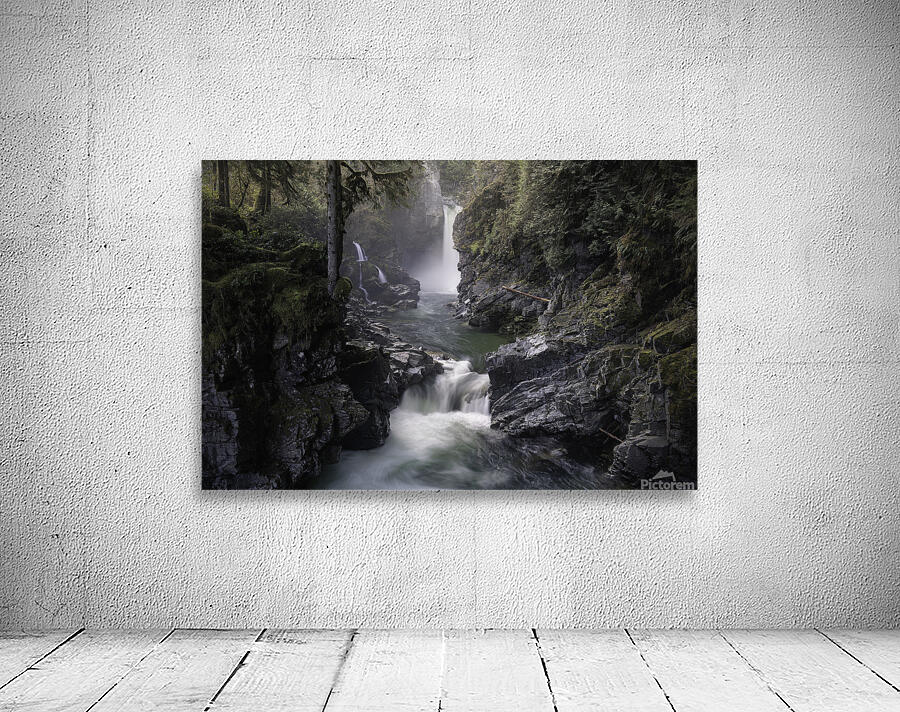 Viktoria Haack Wall Preview