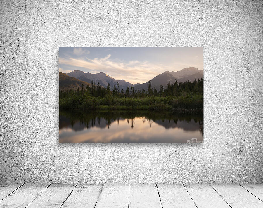 Viktoria Haack Wall Preview