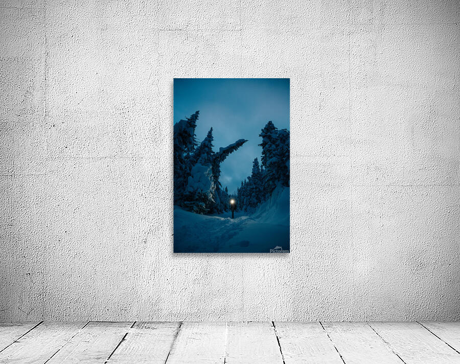 Beatrice Vu Wall Preview