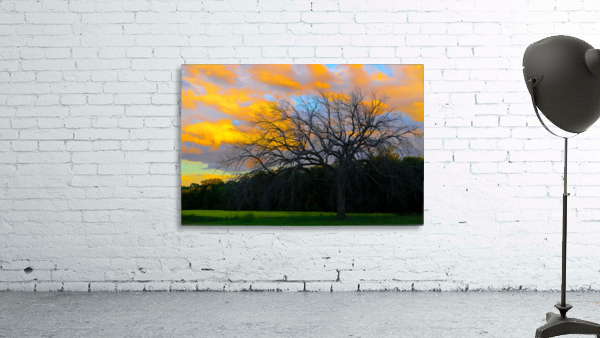 SUNSET AND LONELY TREE Wall Preview