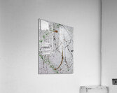 Crescere Acrylic Print