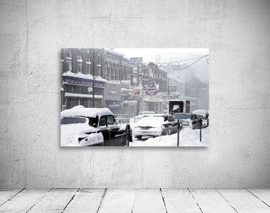Grey Bruce Image Archives 21 Wall Preview