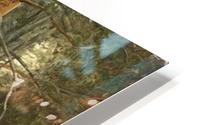 Trees in a forest HD Metal print