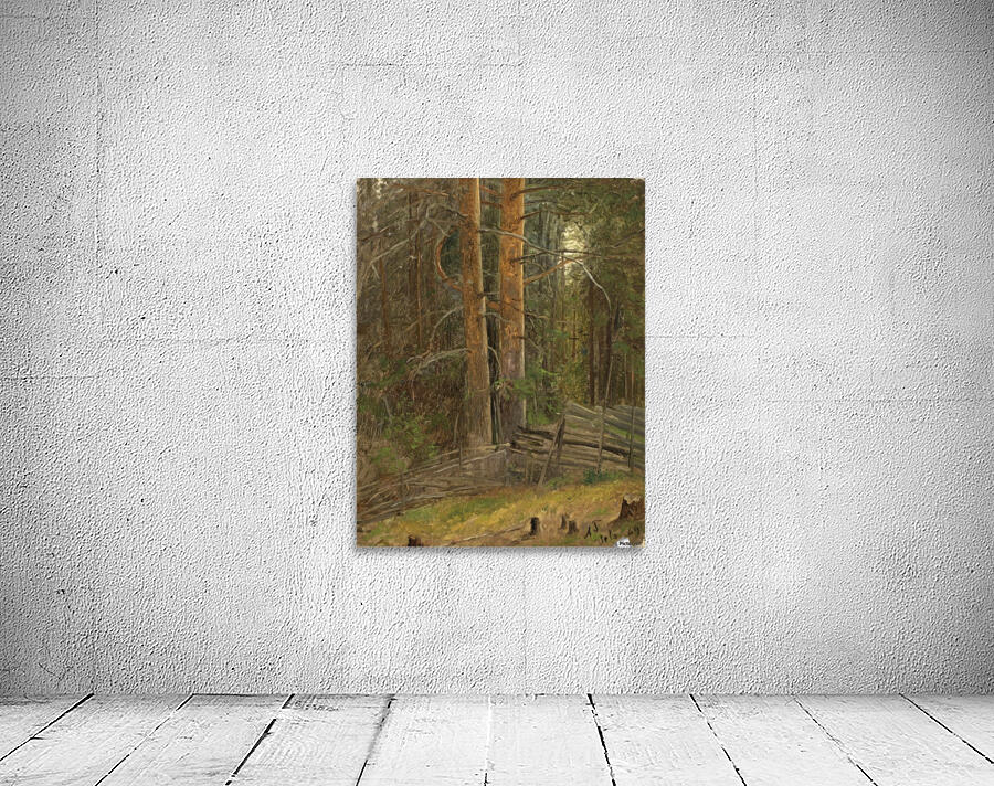 Trees in a forest Wall Preview