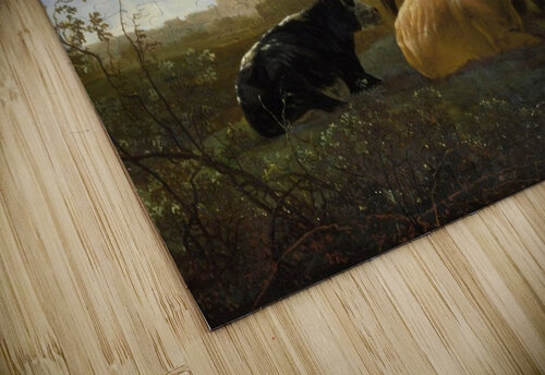 The Small Dort Aelbert Cuyp puzzle