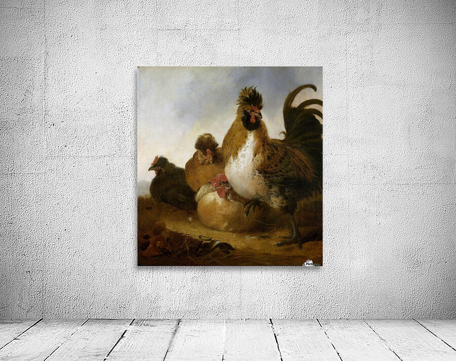 Aelbert Cuyp Rooster Wall Preview