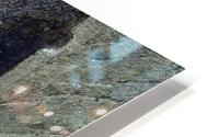 Seasam open HD Metal print