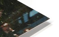 View of the Seine HD Metal print
