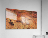 Dead deer Acrylic Print