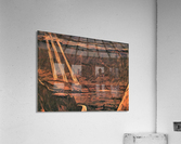 Virgil Acrylic Print