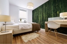 In the forest Mural print