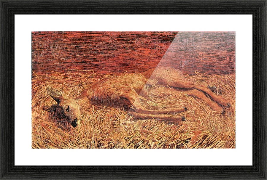 Dead deer Picture Frame print