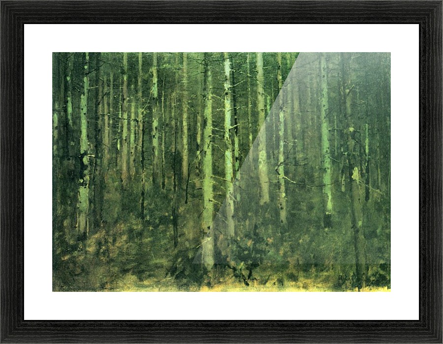 In the forest Picture Frame print