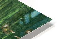 In the forest HD Metal print