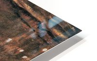 Virgil HD Metal print
