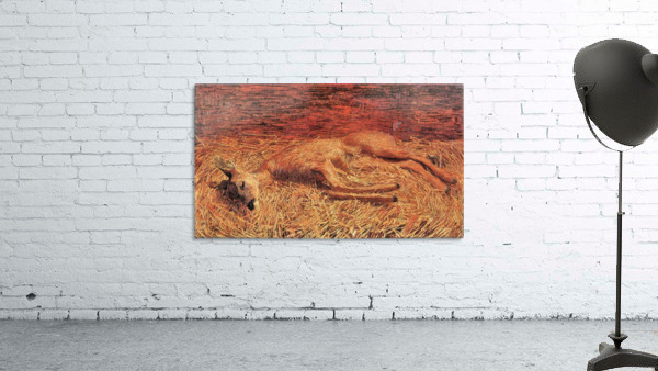 Dead deer Wall Preview