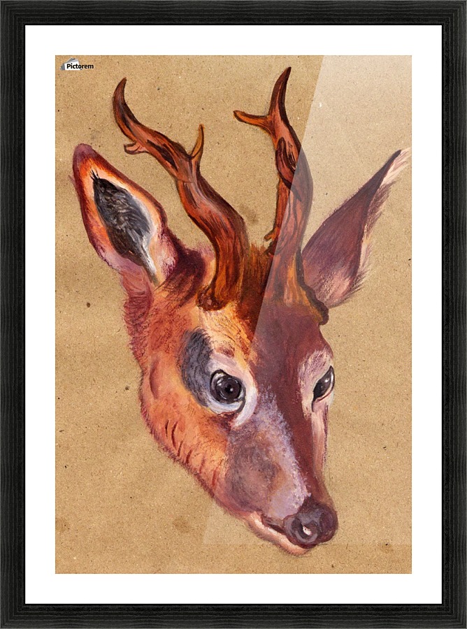 Stag deer Picture Frame print