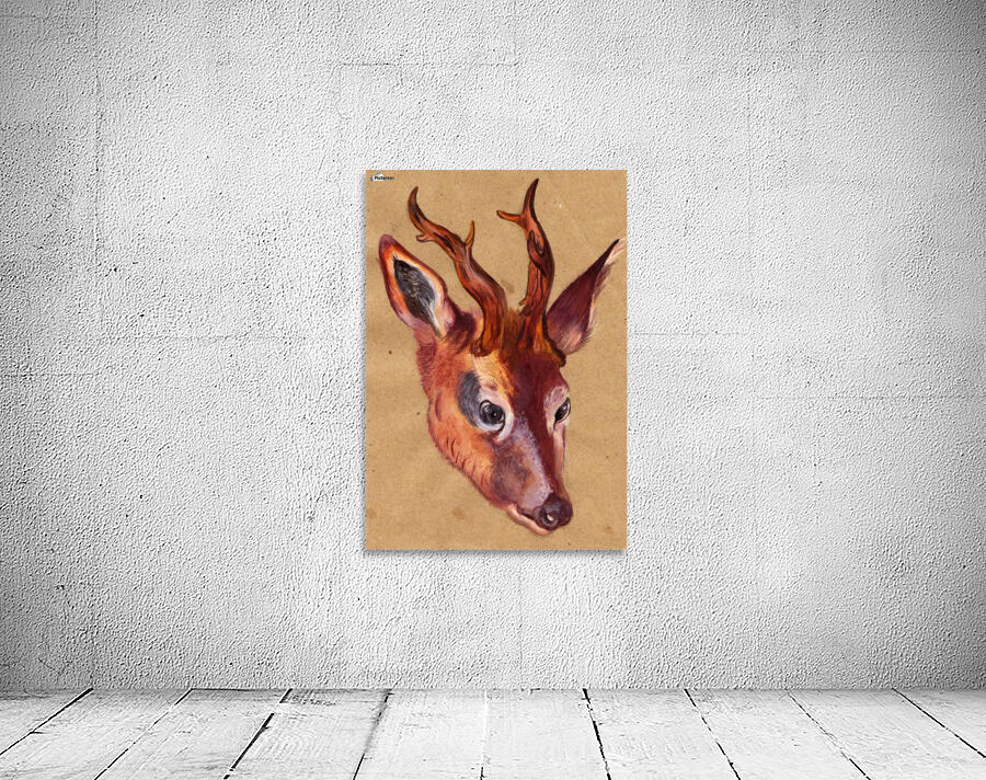 Stag deer Wall Preview