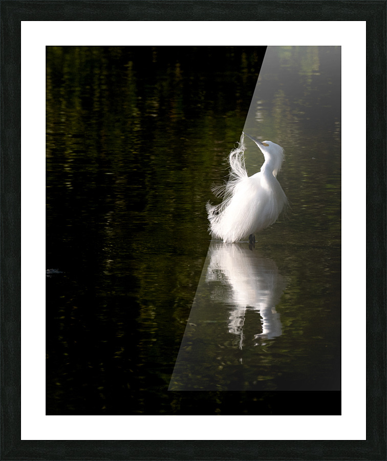 Snowy Reflection Picture Frame print