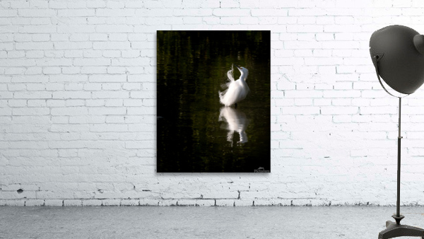 Snowy Reflection Wall Preview