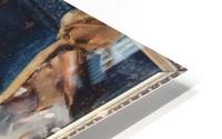 Phedre HD Metal print