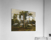 A forest landscape Acrylic Print
