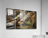 Fallen tree Acrylic Print