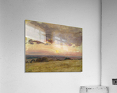 Summer Acrylic Print