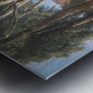 The Sycamores Metal print