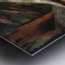 Fallen tree Metal print