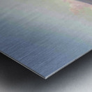 Ender sorrent Metal print