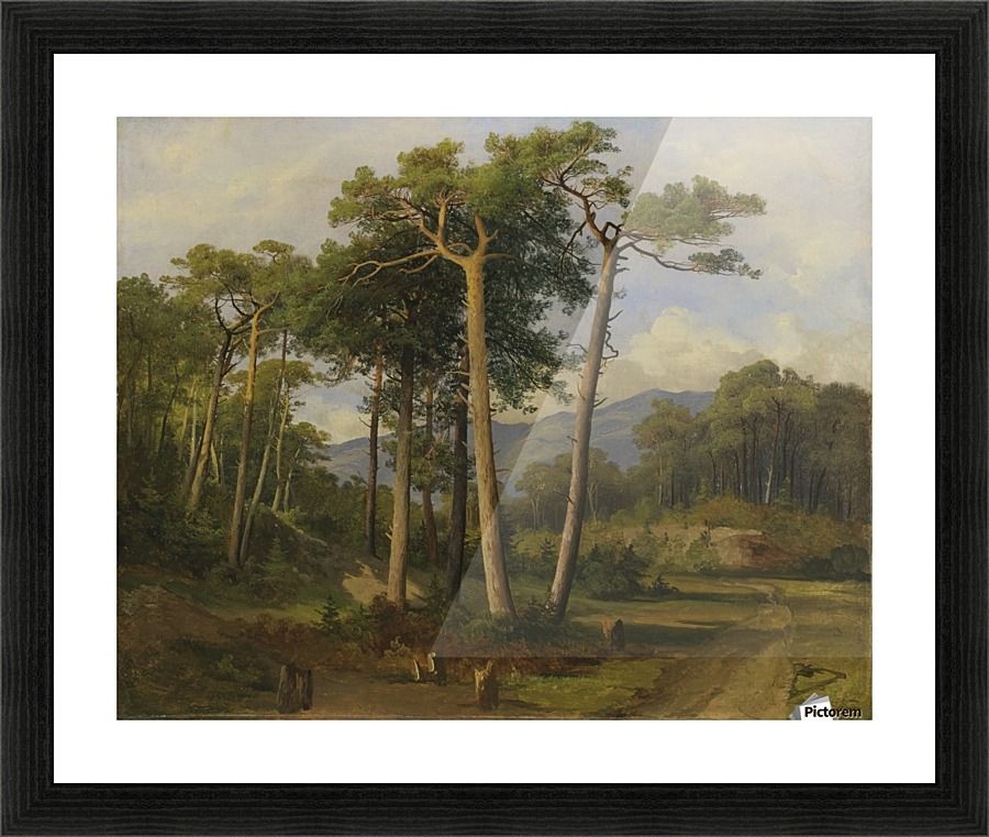A forest landscape Picture Frame print