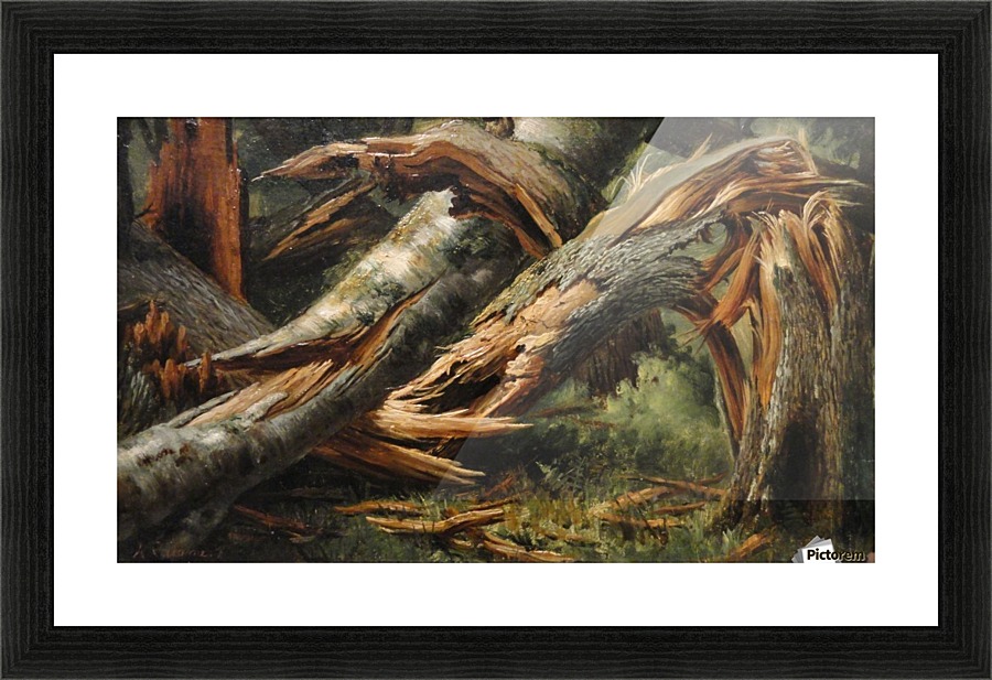 Fallen tree Picture Frame print