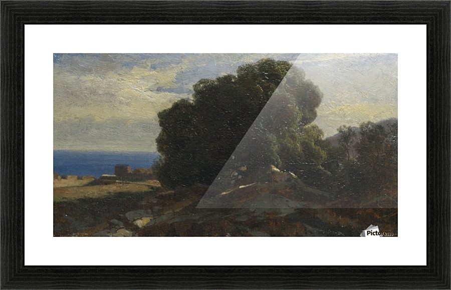A large tree by the sea Picture Frame print