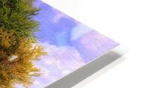 Landscape of two trees HD Metal print