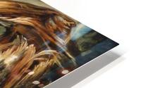 Fallen tree HD Metal print
