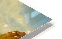 A River in the Alps HD Metal print