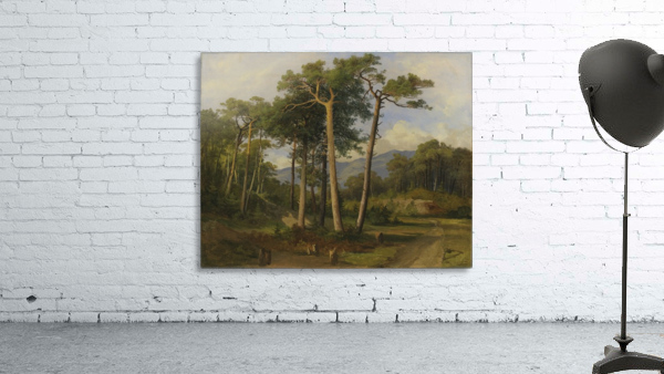 A forest landscape Wall Preview